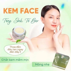 KEM FACE